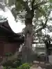 五方山熊野神社の自然