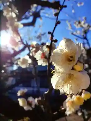 瑞円寺(東京都)