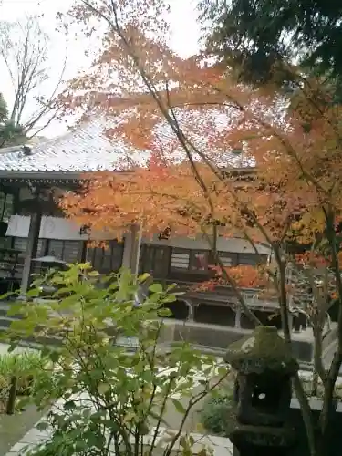 安國論寺(安国論寺)の自然