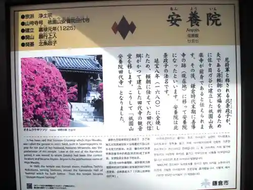 安養院　(田代寺）の歴史