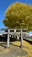 清水八幡宮(埼玉県)
