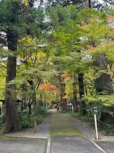 大矢田神社(岐阜県)