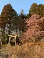 石上神社(千葉県)