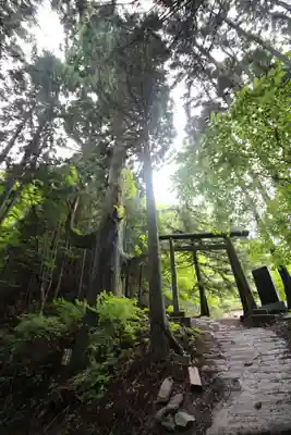 武蔵御嶽神社奥の院の鳥居
