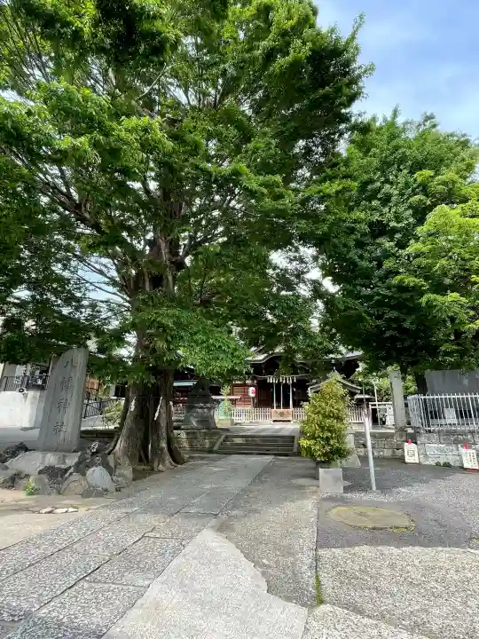 滝野川八幡神社(東京都)