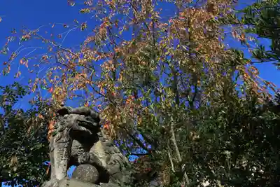 豊景神社の狛犬