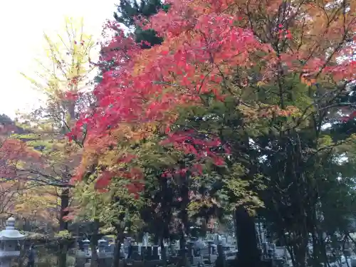 高野山金剛峯寺奥の院(和歌山県)