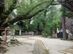 駒込天祖神社の建物その他