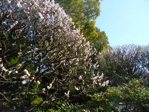 宝戒寺の景色