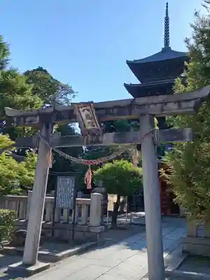 東寺（教王護国寺）(京都府)