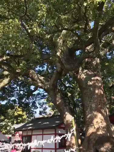 春日神社(大分県)