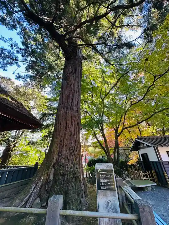 宝城坊(神奈川県)
