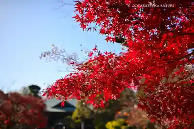 東漸寺(千葉県)