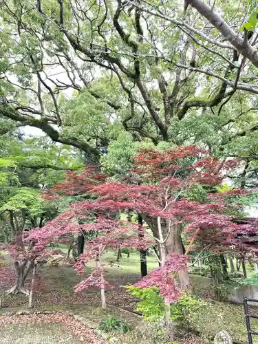 橘神社(長崎県)