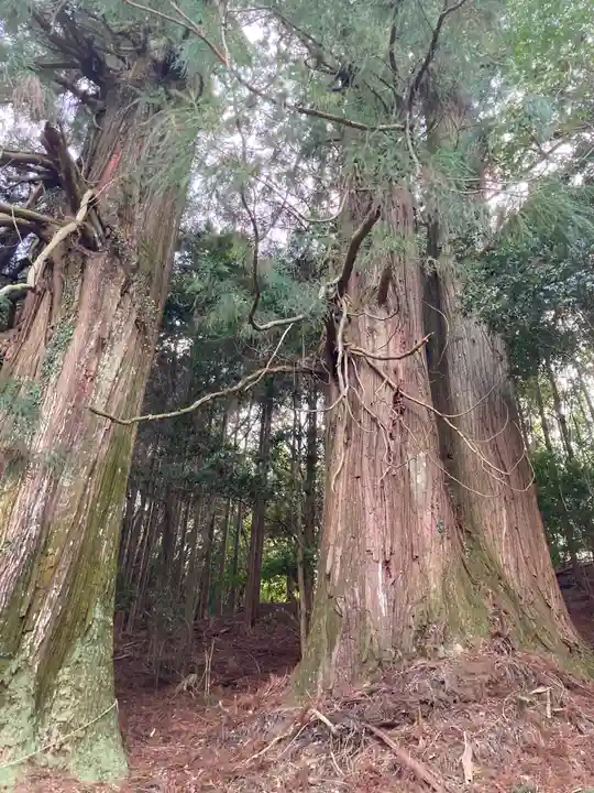 新宮神社の自然