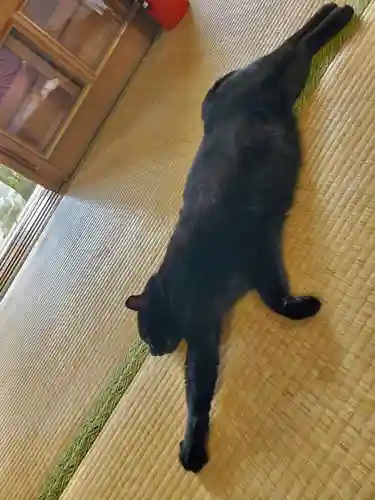 高司神社〜むすびの神の鎮まる社〜(福島県)