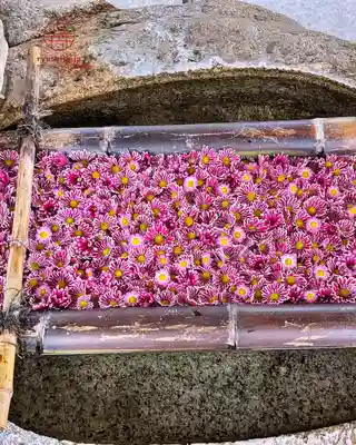 立志神社(滋賀県)