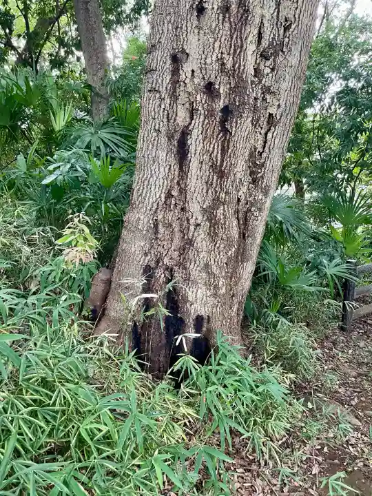 秀郷稲荷大明神(東京都)