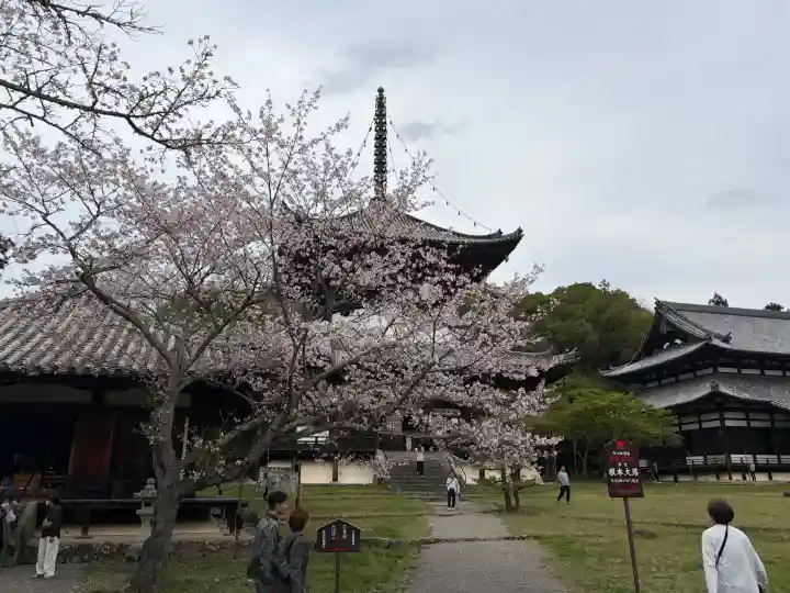 根来寺 不動堂の{uncategorized: "未分類", other: "その他", undefined: "問題あり", building: "その他建物", grave: "お墓", sacred_gate: "鳥居", guardian: "狛犬", statue: "像", buddha: "仏像", history: "歴史", nature: "自然", garden: "庭園", animal: "動物", pagoda: "塔", temizu: "手水舎", mountain_gate: "山門・神門", sanctuary: "本殿・本堂", subordinate: "末社・摂社", art: "芸術", scenery: "景色", jizo: "地蔵", ema: "絵馬", goshuin: "御朱印", omikuji: "おみくじ", items: "授与品その他", amulet: "お守り", goshuincho: "御朱印帳", eats: "食事", festival: "お祭り", votive_dance: "神楽", shichigosan: "七五三参", wedding: "結婚式", experience: "体験その他", initially: "初詣", around: "周辺", anti_infection: "感染症対策"}