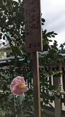 城南宮(京都府)