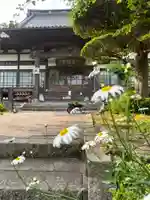 智恩寺(岩手県)
