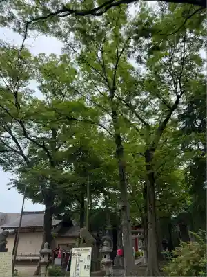 丸子山王日枝神社(神奈川県)