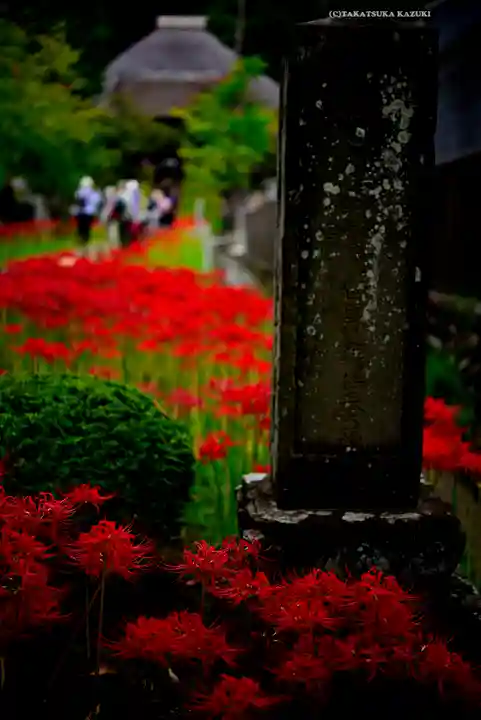 横浜 西方寺(神奈川県)