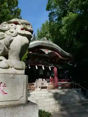 葛西神社の狛犬