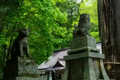戸隠神社中社(長野県)