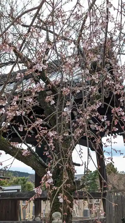 満願寺(京都府)