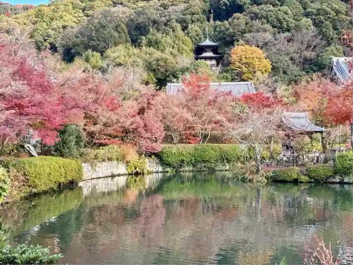 禅林寺(永観堂)(京都府)