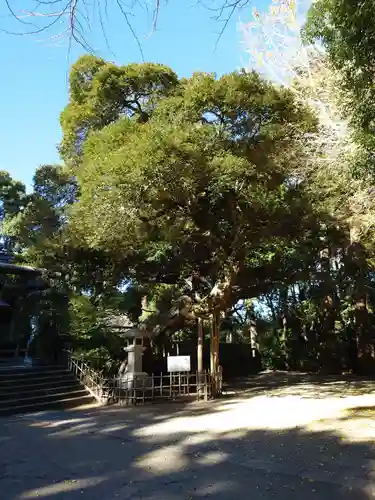 莫越山神社のその他建物