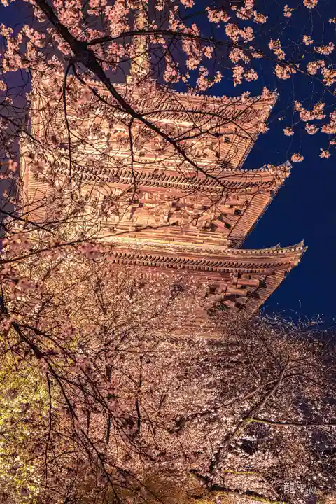 東寺(教王護国寺)(京都府)