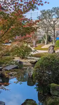 榮攝院（栄摂院）(京都府)