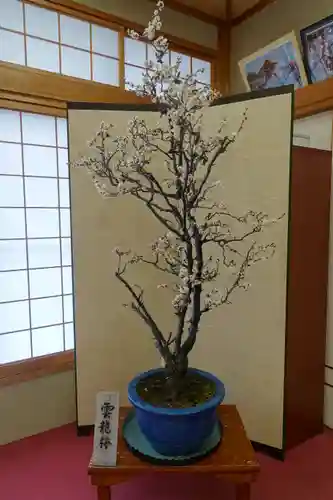 菅原天満宮（菅原神社）の自然