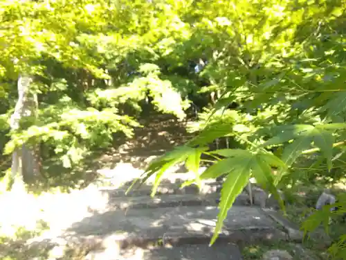 安国寺(京都府)