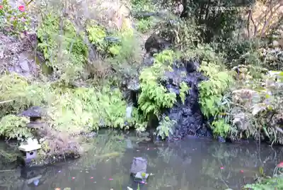 大綱金刀比羅神社(神奈川県)
