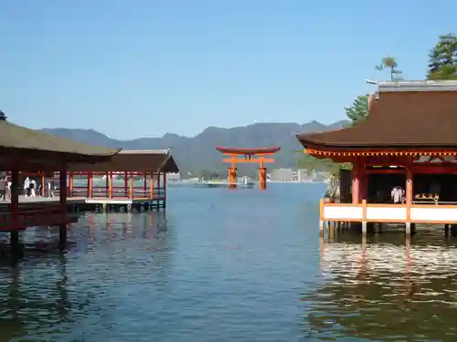 厳島神社の鳥居