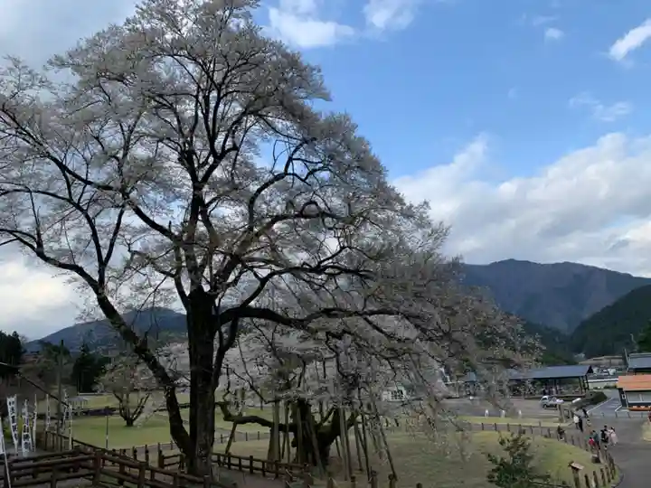 淡墨観音の自然