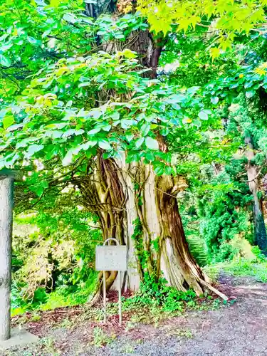 箟峯寺(宮城県)