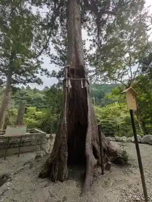 丹生神社（丹生川上神社中社摂社)(奈良県)
