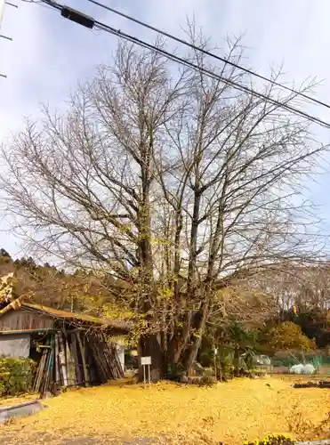 長言寺(埼玉県)