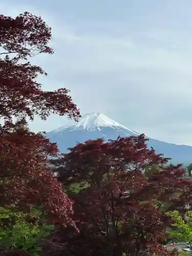 新倉富士浅間神社の{uncategorized: "未分類", other: "その他", undefined: "問題あり", building: "その他建物", grave: "お墓", sacred_gate: "鳥居", guardian: "狛犬", statue: "像", buddha: "仏像", history: "歴史", nature: "自然", garden: "庭園", animal: "動物", pagoda: "塔", temizu: "手水舎", mountain_gate: "山門・神門", sanctuary: "本殿・本堂", subordinate: "末社・摂社", art: "芸術", scenery: "景色", jizo: "地蔵", ema: "絵馬", goshuin: "御朱印", omikuji: "おみくじ", items: "授与品その他", amulet: "お守り", goshuincho: "御朱印帳", eats: "食事", festival: "お祭り", votive_dance: "神楽", shichigosan: "七五三参", wedding: "結婚式", experience: "体験その他", initially: "初詣", around: "周辺", anti_infection: "感染症対策"}