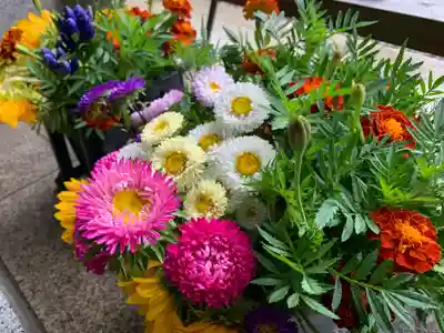 滑川神社 - 仕事と子どもの守り神の手水舎