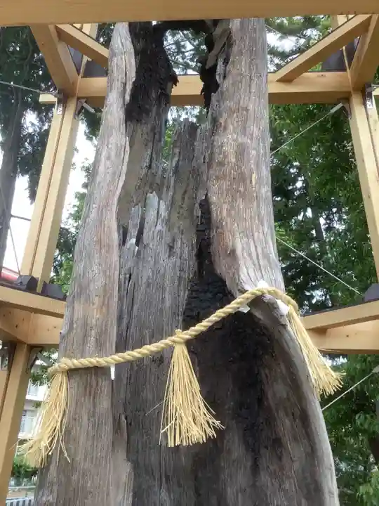 西八龍社の自然