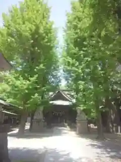 金村別雷神社のその他建物