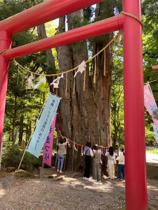 磐椅神社の自然