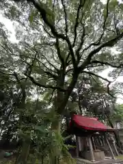 清洲山王宮　日吉神社(愛知県)