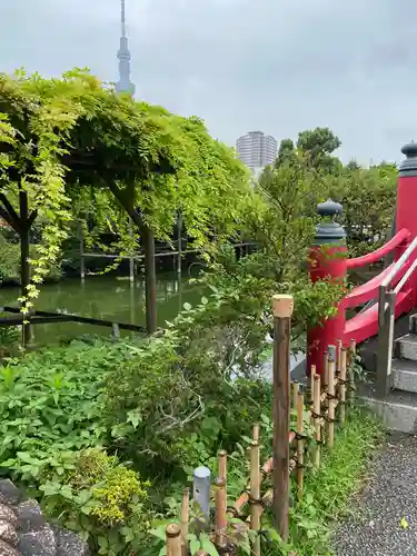 亀戸天神社の庭園