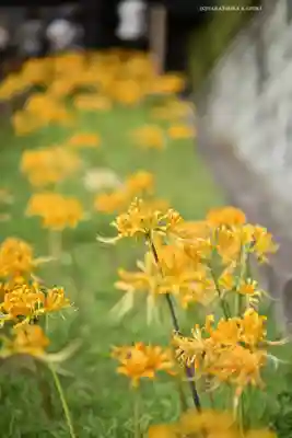 横浜　西方寺(神奈川県)